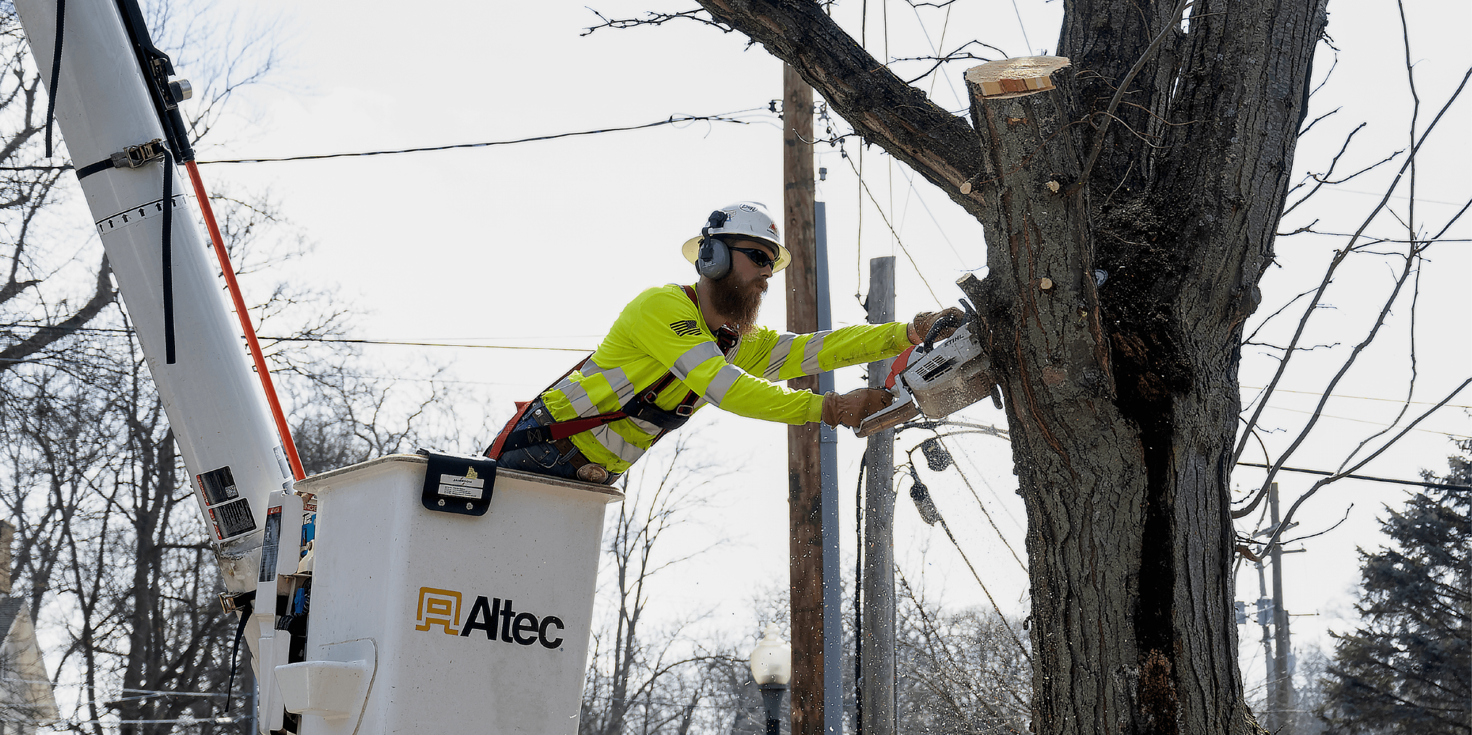Tree Trimming with Chainsaw