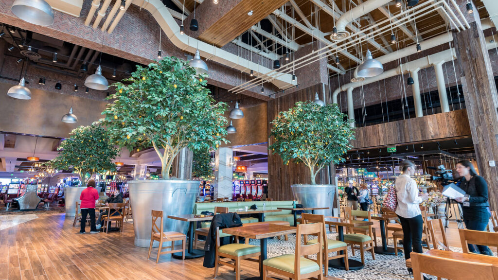 Del lago casino 51920